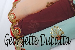  Georgette Dupatta in Srinagar