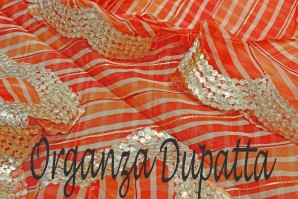  Organza Dupatta in Srinagar
