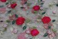 Golden Net Embroidery Fabrics