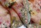 Peach Organza Digital Print With Fancy Scallop Border Dupatta