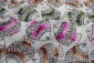 Beige Phulkari Dupatta