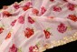 Pink Colour Fancy Organza Dupatta