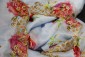 Blue Colour Fancy Organza Dupatta